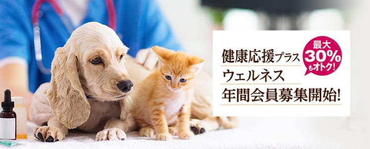 ウェルネスプランとは!?