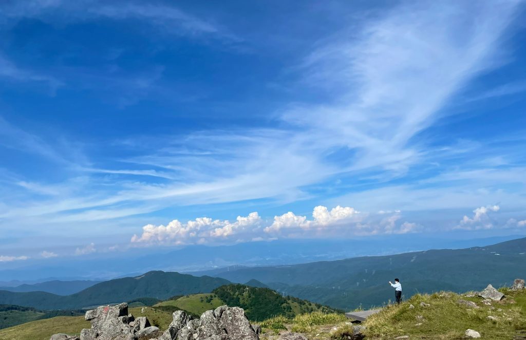 感動した事　「北海道 オジロワシ舞う大地 密着!　絶滅危惧種レスキュー」を見て。